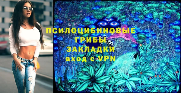 Альфа ПВП Алзамай