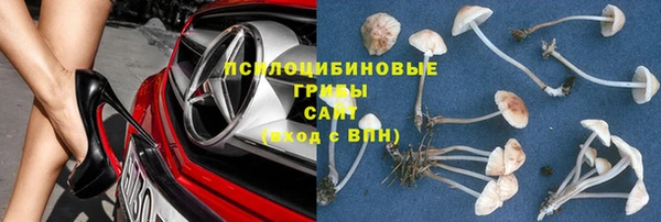 винт Абдулино