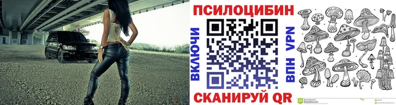 Галлюциногенные грибы MAGIC MUSHROOMS  магазин продажи   Яхрома 